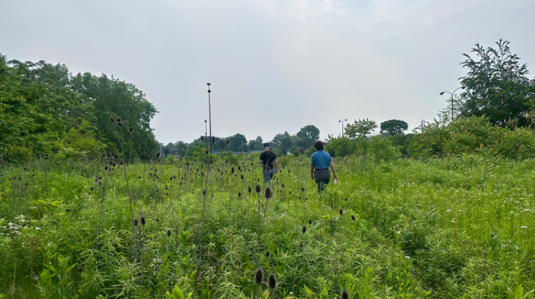 two people in a field